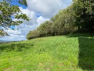 Terrain à bâtir, 2 066 m²