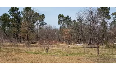 Terrain à bâtir, 1 700 m²