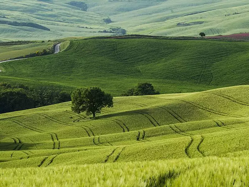Terrain à bâtir, 987 m² - Choisy-en-Brie (77320)