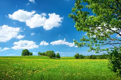 Terrain à bâtir, 1 700 m²