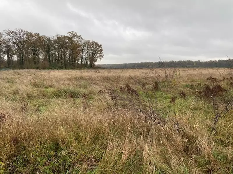 Terrain à bâtir, 427 m² - Senlis (60300)