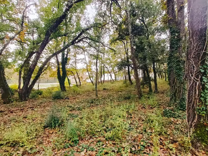 Terrain à bâtir, 700 m² - Trans-en-Provence (83720)