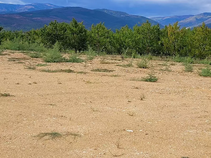 Maison neuve, 110 m² - Los Masos (66500)