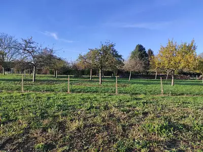 Terrain à bâtir, 549 m²