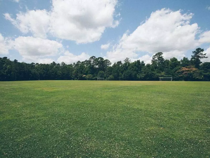 Terrain à bâtir, 800 m² - Villaudric (31620)