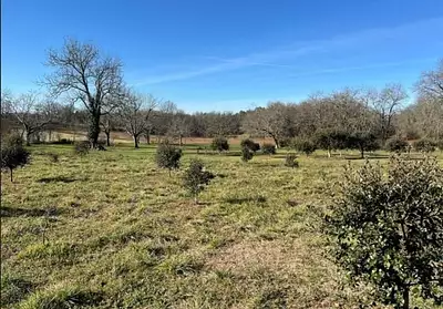 Terrain à bâtir, 3 800 m²