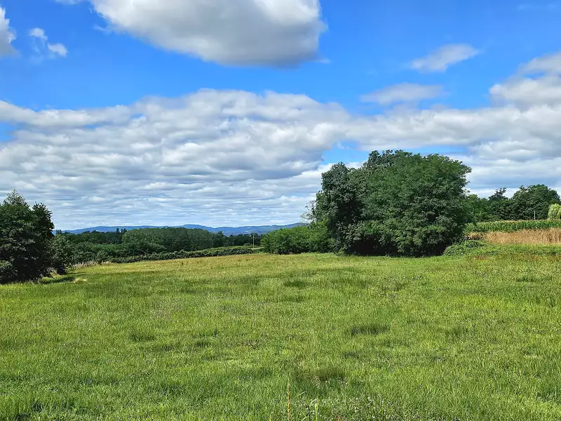 Terrain à bâtir, 1 000 m² - Bâgé-le-Châtel (01380)