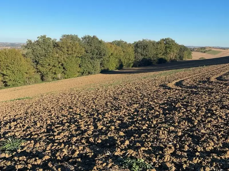 Terrain à bâtir, 411 m² - Montbrun-Lauragais (31450)