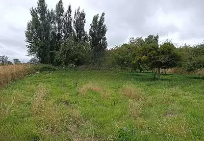 Maison neuve, 95 m²