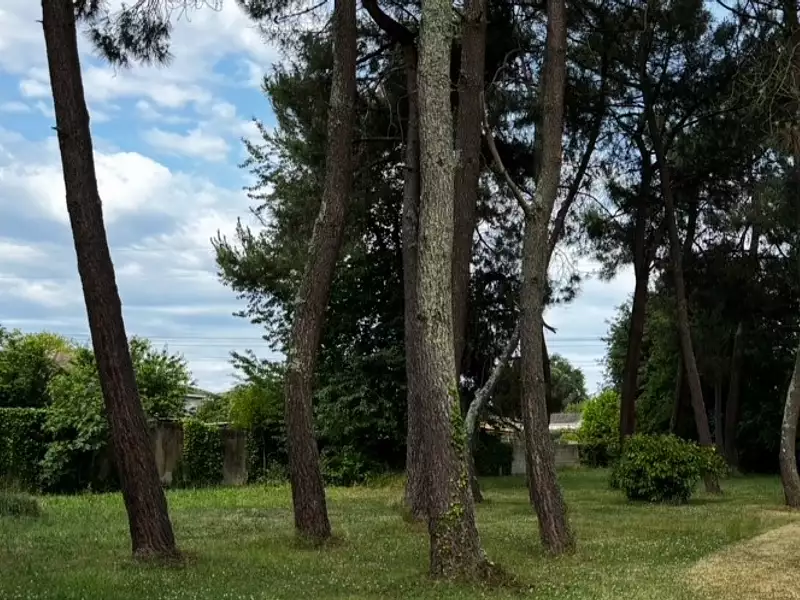 Maison neuve, 146 m² - Artigues-près-Bordeaux (33370)