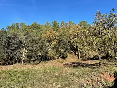 Terrain à bâtir, 1 019 m²