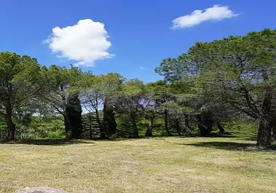 Maison neuve, 80 m²