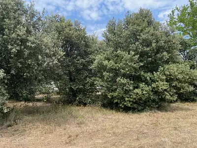 Terrain à bâtir, 1 143 m²