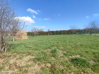 Maison neuve, 80 m²