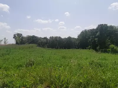 Terrain à bâtir, 534 m²