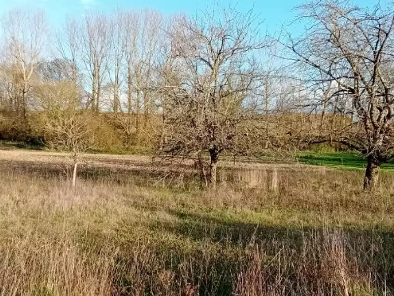 Terrain à bâtir, 2 576 m² - Chadenac (17800)