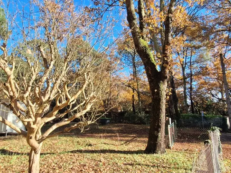 Terrain à bâtir, 450 m² - Saint-Palais-sur-Mer (17420)