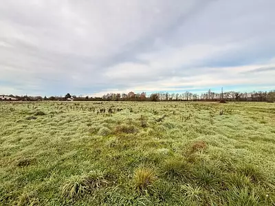 Terrain à bâtir, 1 250 m²