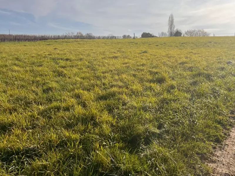 Terrain à bâtir, 1 500 m² - Targon (33760)