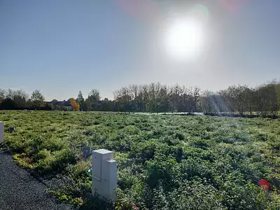 Maison neuve, 99 m²