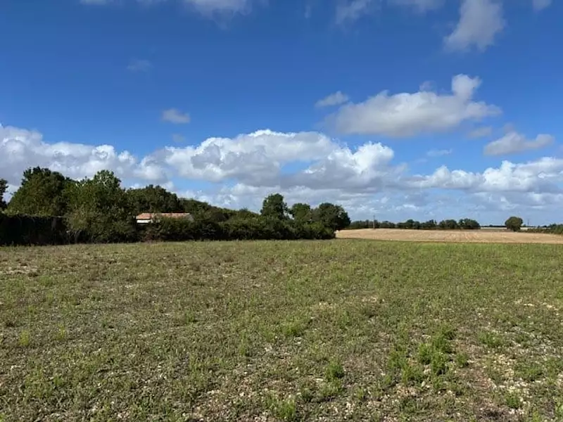 Maison neuve, 81 m² - Le Thou (17290)