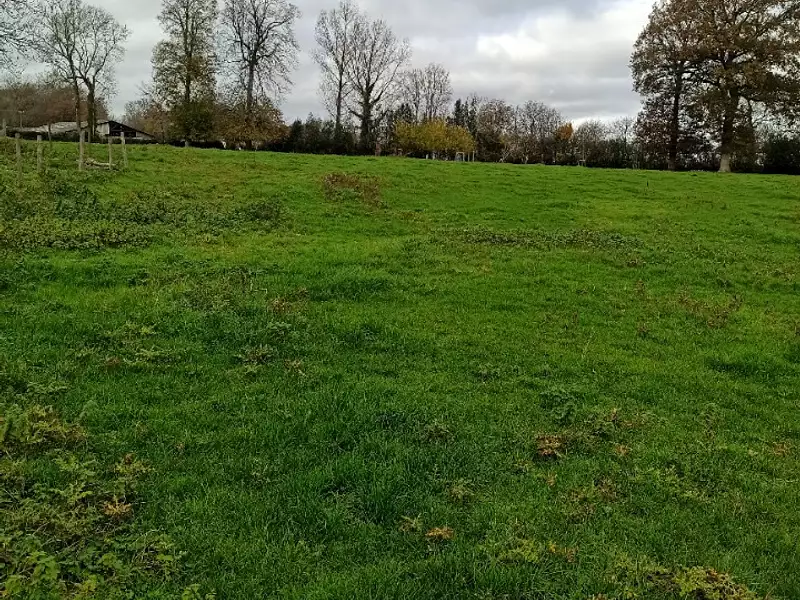 Maison neuve, 94 m² - Campagne-lès-Boulonnais (62650)