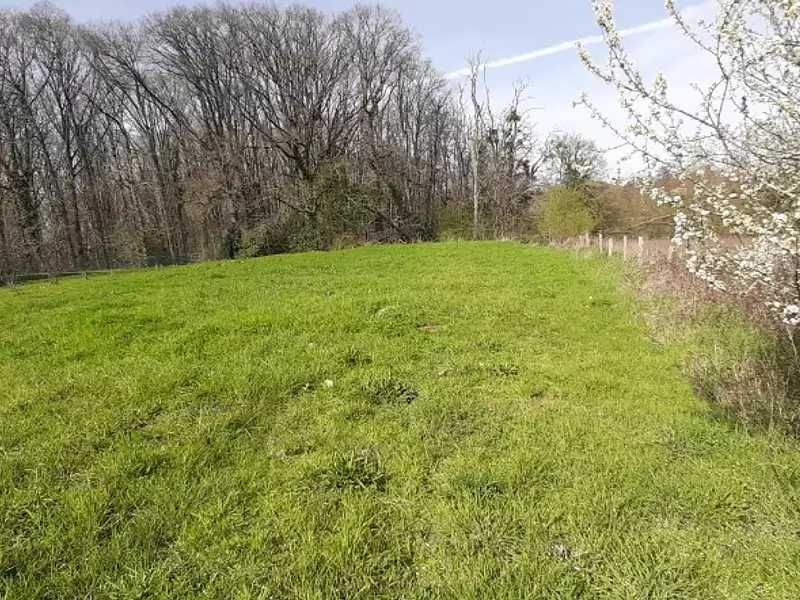 Terrain à bâtir, 313 m² - Saint-Saturnin (72650)