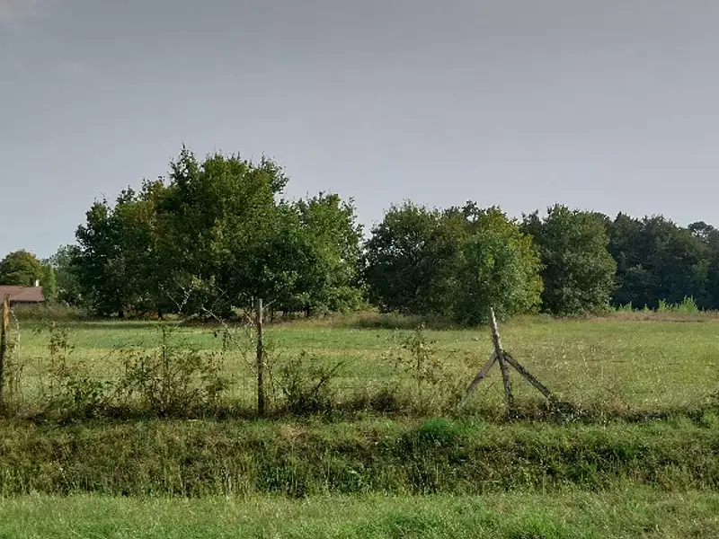 Terrain à bâtir, 1 300 m² - Laruscade (33620)