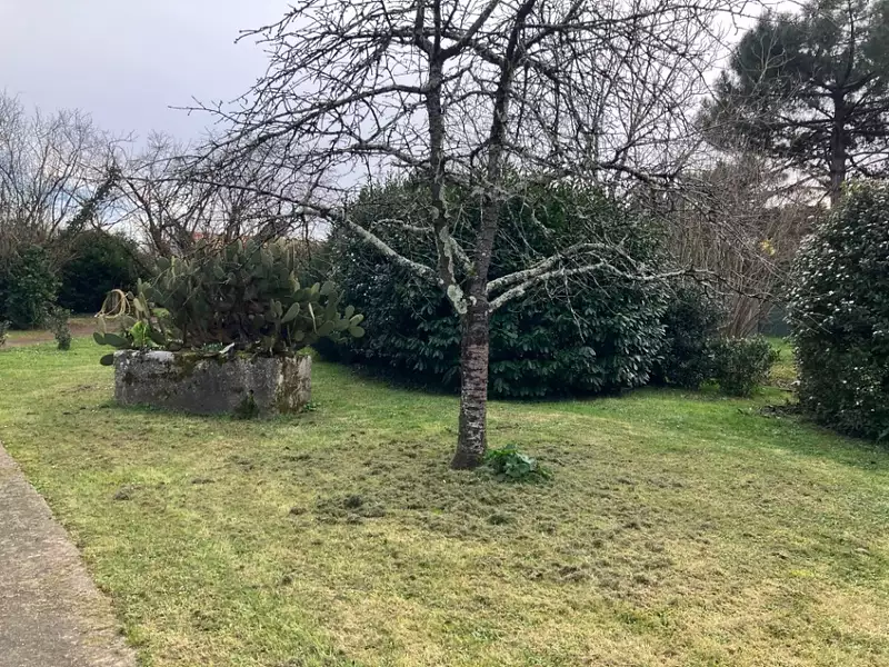 Maison neuve, 90 m² - Cognac (16100)