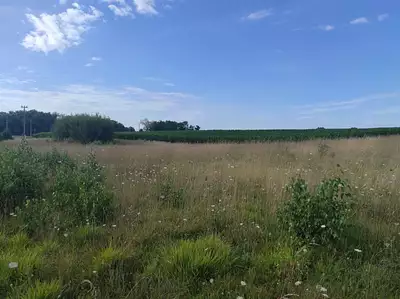 Maison neuve, 105 m²