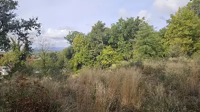 Terrain à bâtir, 1 174 m²