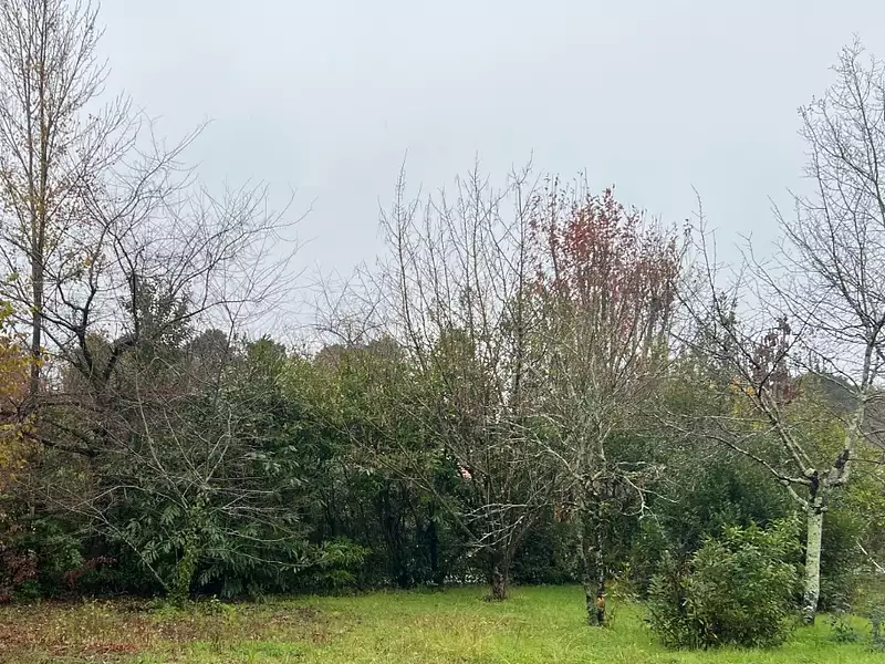 Terrain à bâtir, 400 m² - Blanquefort (33290)