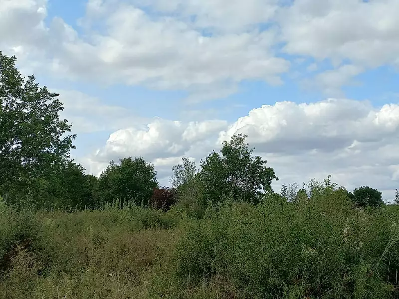 Terrain à bâtir, 5 174 m² - Montpon-Ménestérol (24700)