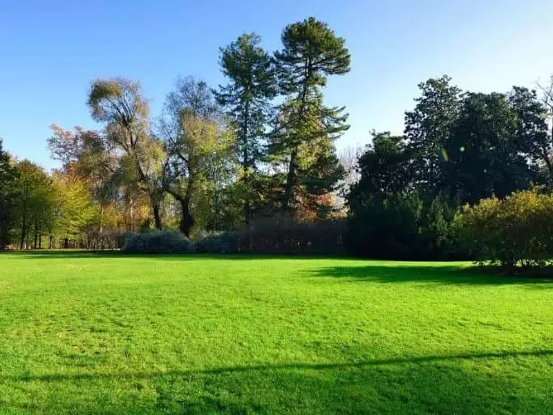 Terrain à bâtir, 850 m² - Montauban (82000)