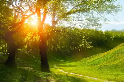 Terrain à bâtir, 1 327 m²