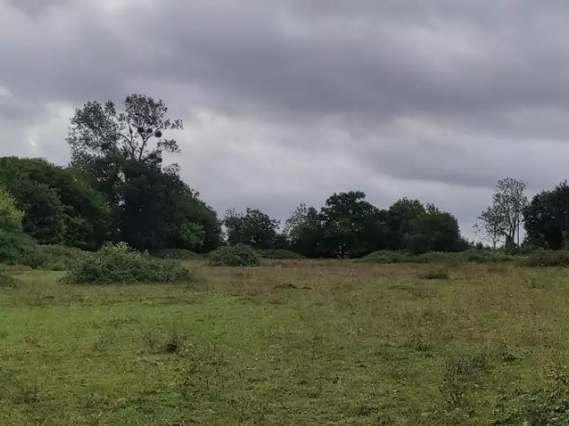 Terrain à bâtir, 759 m² - Trouville-sur-Mer (14360)