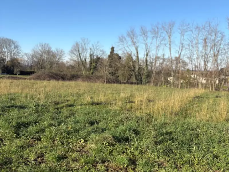Terrain à bâtir, 1 000 m² - Branne (33420)