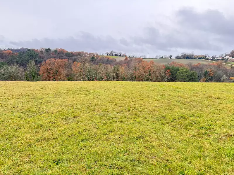 Terrain à bâtir, 4 500 m² - Trélissac (24750)