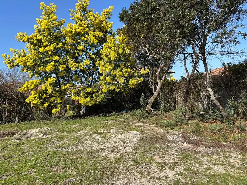 Terrain à bâtir, 345 m² - Arès (33740)