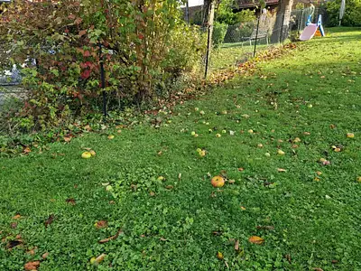 Maison neuve, 105 m²