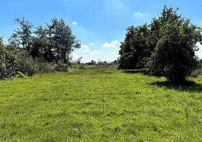 Maison neuve, 90 m²