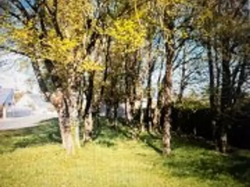 Maison neuve, 240 m² - Cinq-Mars-la-Pile (37130)