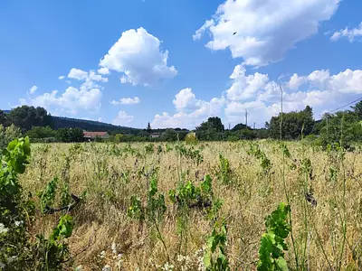 Terrain à bâtir, 1 654 m²