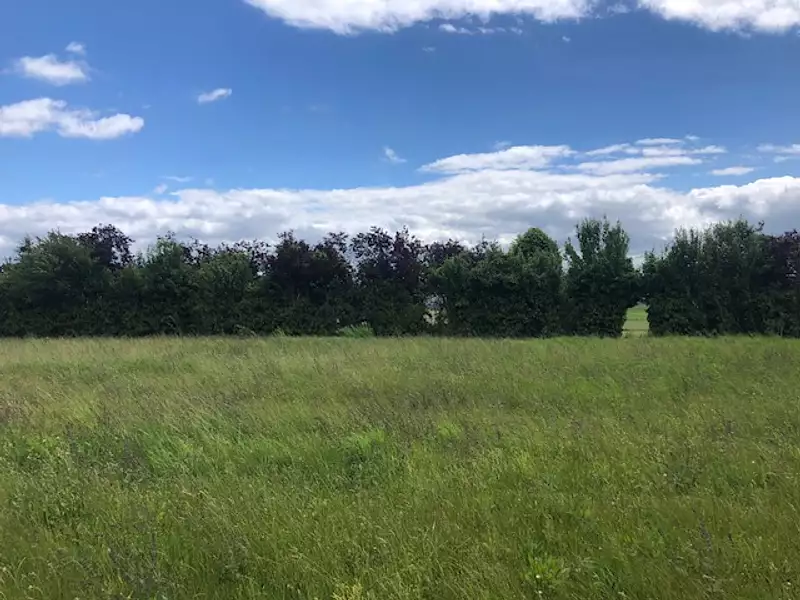Maison neuve, 96 m² - Azay-le-Rideau (37190)