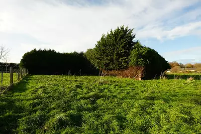 Terrain à bâtir, 443 m²