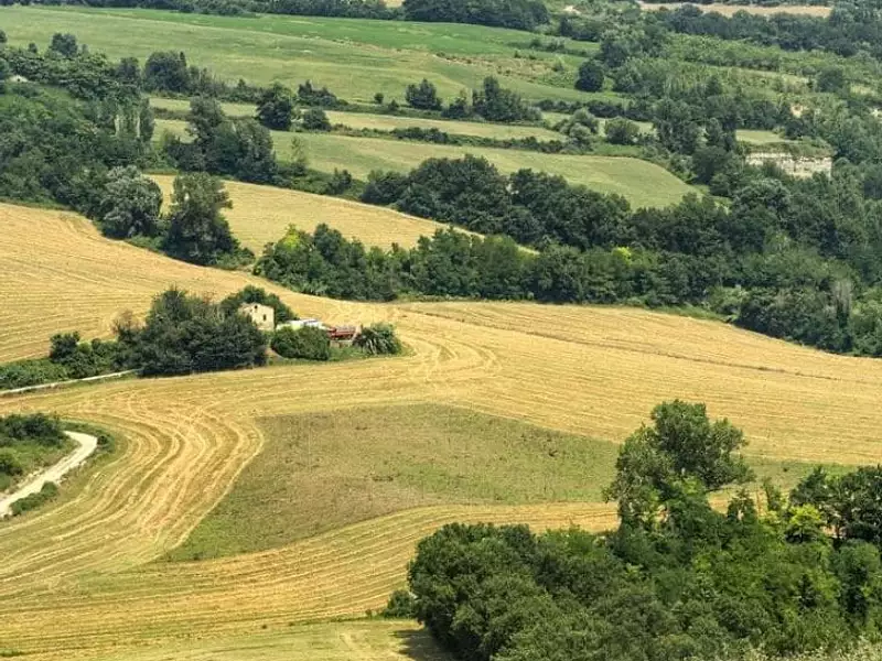 Terrain à bâtir, 455 m² - Andilly (17230)