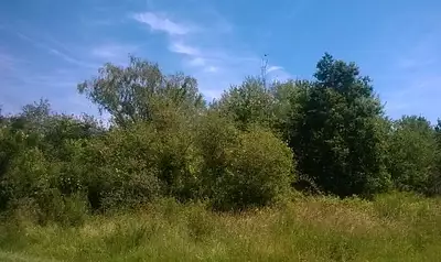 Terrain à bâtir, 1 110 m²