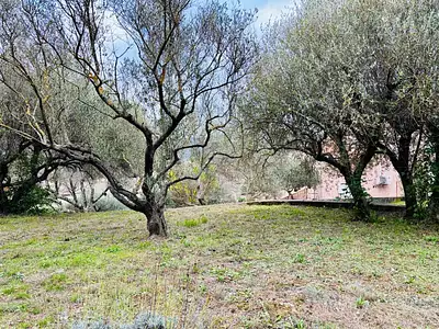 Terrain à bâtir, 710 m²