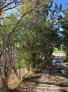 Maison neuve, 125 m²