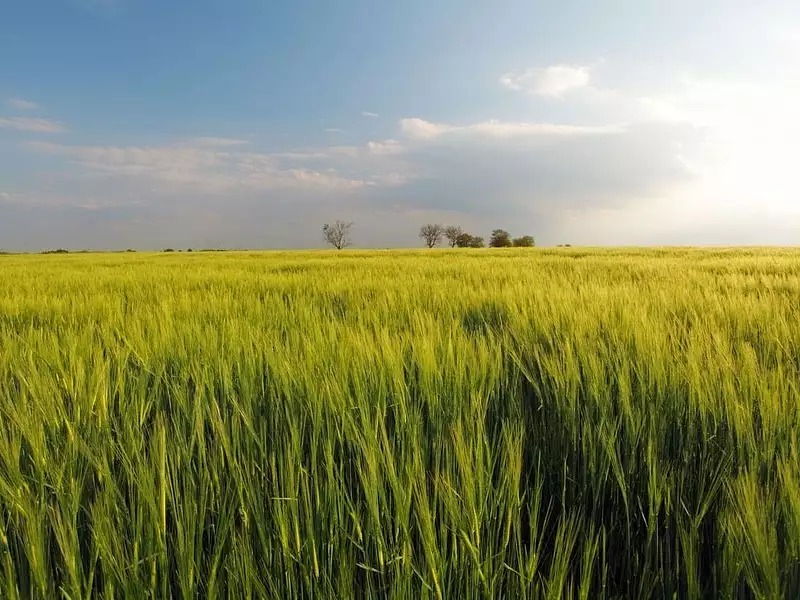 Terrain à bâtir, 1 500 m² - Grignols (24110)